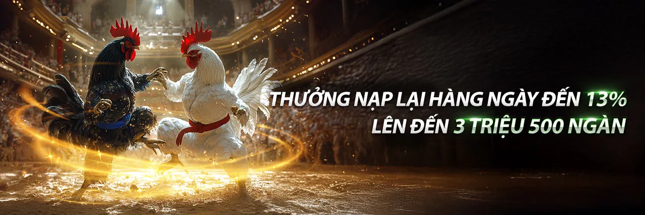 Hình ảnh chính blog 777king chính thức